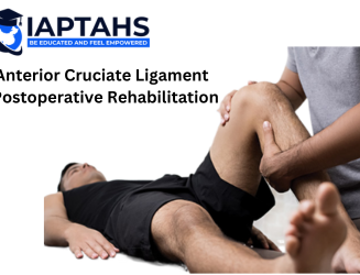 ACL Postoperative Rehabilitation Certification Course