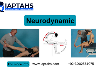 Neurodynamic / Nerve mobilization